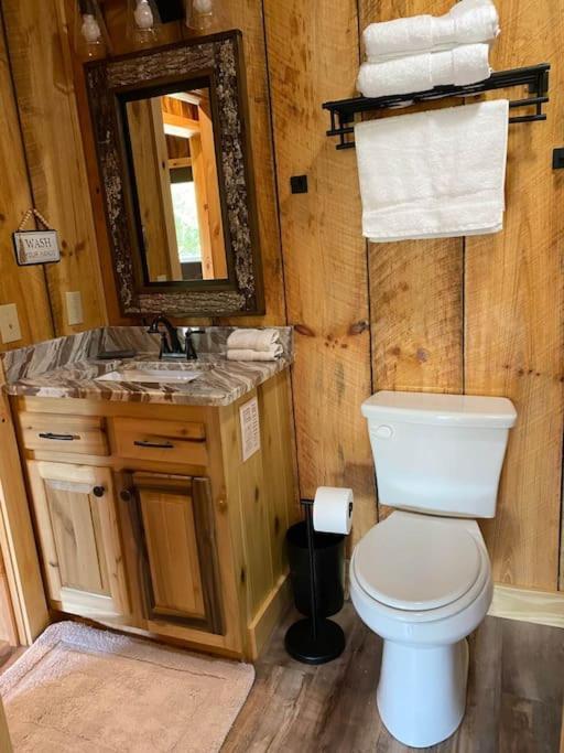 The Llaguna Lodge - New Cabin, Sleeps 10, Fire Pit, Hot Tub, In Blue Ridge , Ga エクステリア 写真