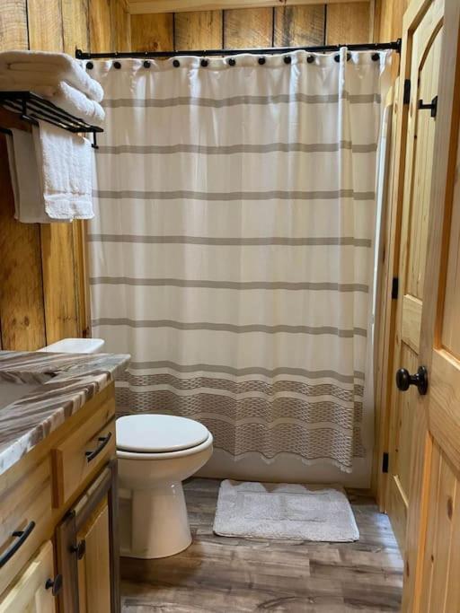 The Llaguna Lodge - New Cabin, Sleeps 10, Fire Pit, Hot Tub, In Blue Ridge , Ga エクステリア 写真
